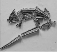 Филиппова Софья, 8 лет  Хамелеон