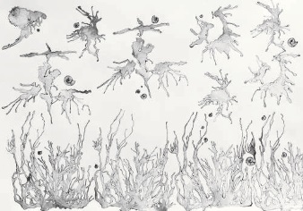 Морское дно. Дапья Ч., 14 лет.