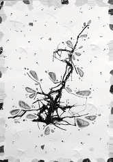 Ёлочка. Елена С., 12 лет.